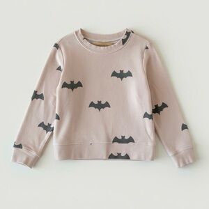 Brokedown Clothing Blush Pink Bat Sweatshirt Gray Print | Girls 3T | USA Made